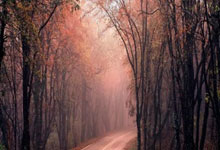 2022年亚冠直播该去哪里看？赛事亮点和观赛指南都在这里！