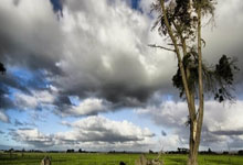 梅西未来去向2天内就见分晓？答案背后藏着哪些关键信息？